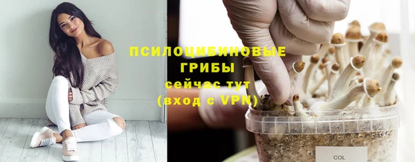 круглые Медвежьегорск