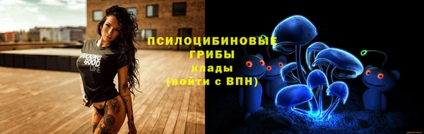 ПСИЛОЦИБИНОВЫЕ ГРИБЫ Медногорск